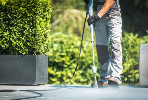 Best Gutter Cleaning  in Lake Hiawatha, NJ